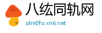 八纮同轨网